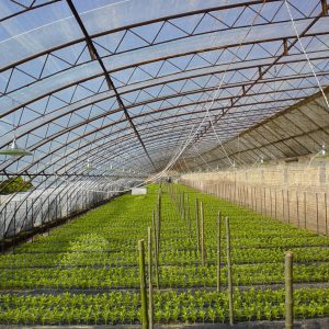 EVA高保温耐老化流滴消雾膜