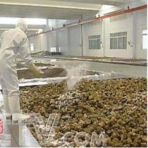 Special film for pickled mustard tuber